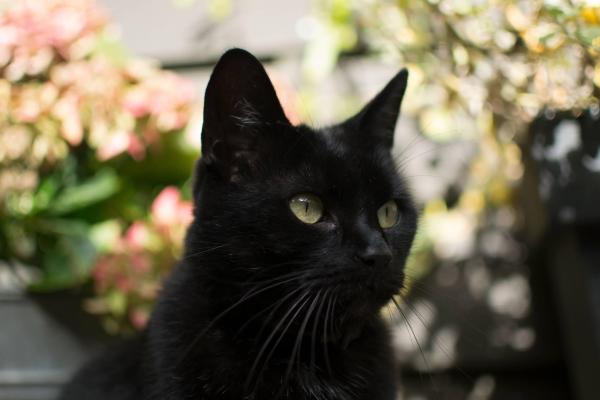 Beleid retourneren medicatie