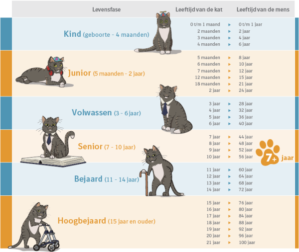 Maand van de oudere kat 2025