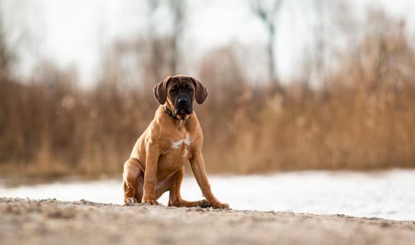Belangrijke update avond- en weekend diensten