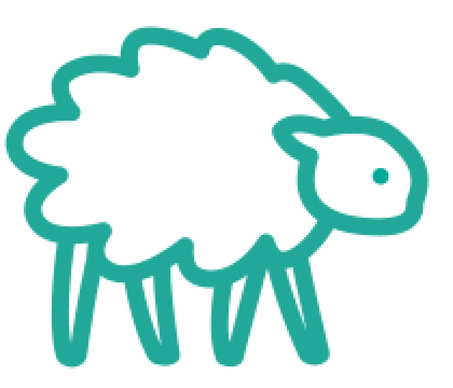 Schapen, geiten en alpaca's